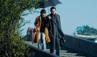 繁花多少集一共多少集啊