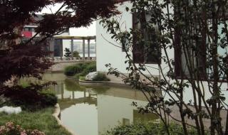 繁花多少集一共多少集啊