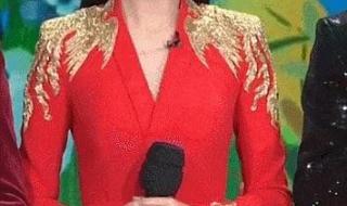 佟丽娅为什么主持春晚