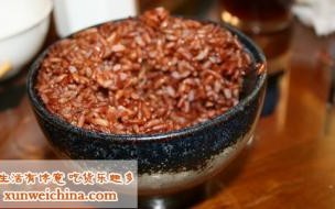 红米饭那个南瓜汤最早是谁唱的 红米饭南瓜汤原唱歌曲