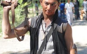 向着胜利前进阿福扮演者 向着胜利前进演员表