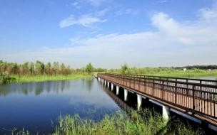 急！郑州黄河湿地公园怎么去,有公交车通么 郑州黄河国家湿地公园