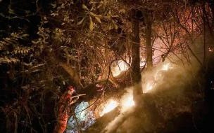 2019年3月30日四川凉山发生森林火灾属于什么火灾 2019年四川凉山火灾事件