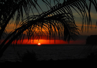 辽宁2013年高考总分多少 2013辽宁卫视春晚节目单