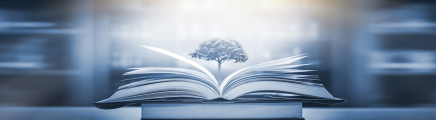 事业单位聘用制和编制有什么区别