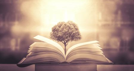 《超级魔术师》推币机诀窍是什么？