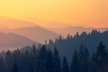 植树节画画写字该写什么 植树节画画简单又漂亮
