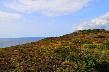 梦见鞋找不到了自己到处找的预兆