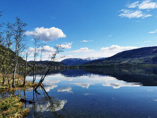 新人求科普：短道速滑的冰刀和大道的刀的区别