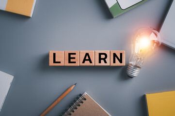 上古卷轴5双持战士和双手武器战士各自优劣势是什么,穿什么甲