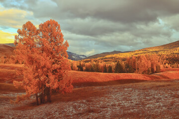 欧洲尺码和亚洲尺码 精品欧洲一码二码区别在哪