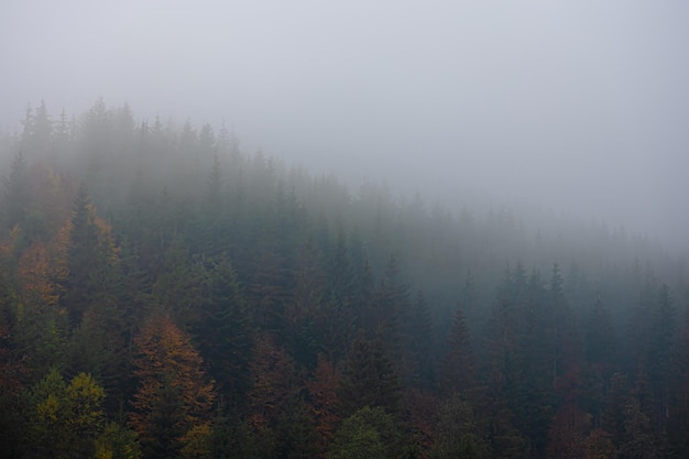 机关单位的会议记录和会议纪要有什么区别平时都说写会议记录 会议纪要与会议记录的区别