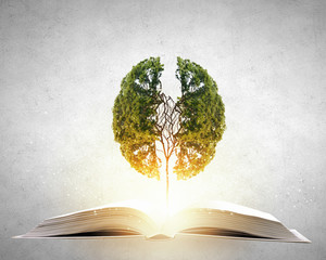 爱探险的朵拉前一句 爱探险的朵拉动画片全集