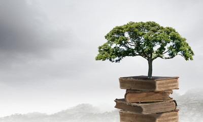 欧洲尺码和亚洲尺码 精品欧洲一码二码区别在哪