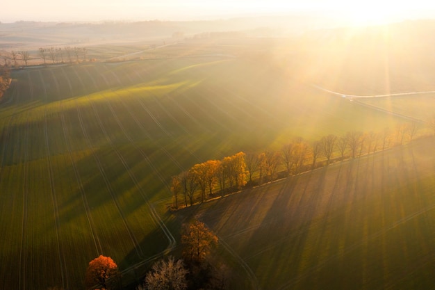 天空之城宫崎骏什么时候创作的 宫崎骏《天空之城》定档