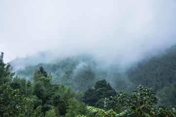 360小水滴d600使用说明 360小水滴卧室视频大全